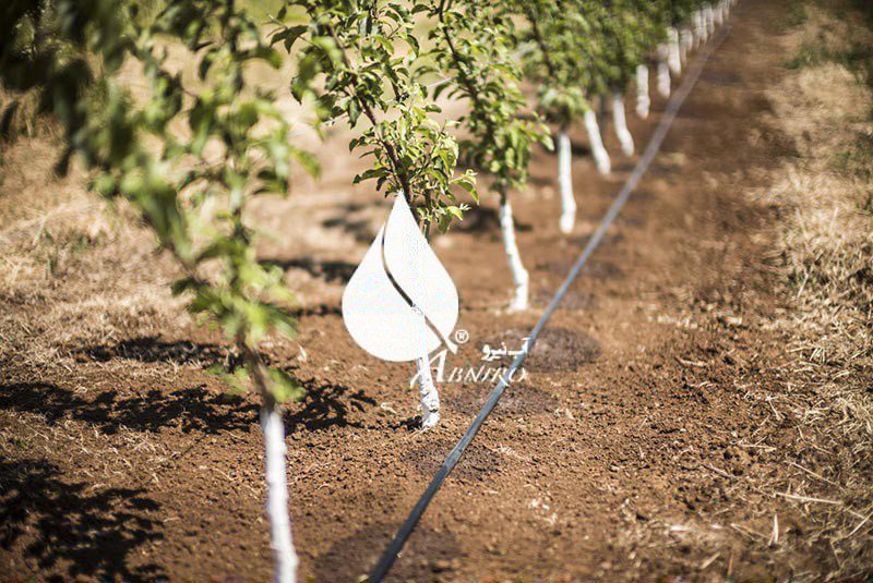 سیستم آبیاری قطره ای جایگزین روش های سنتی برای آبرسانی به گیاهان شده است.